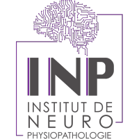 Bannière INP-Institut de Neuro Physiopathologie